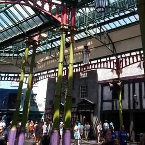 Meet your Posher, Haley